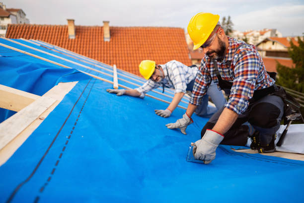 Steel Roofing in Shepherd, TX