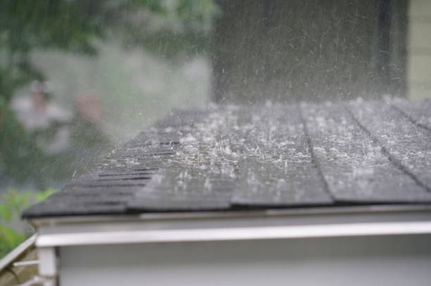 Best Cold Roofs  in Shepherd, TX