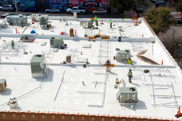Best Roof Leak Repair  in Shepherd, TX